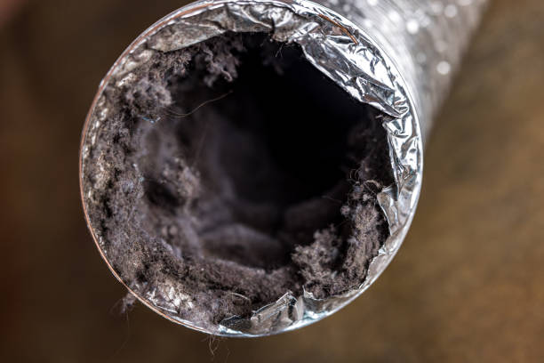 Best Air Duct Cleaning Near Me  in Centreville, MD